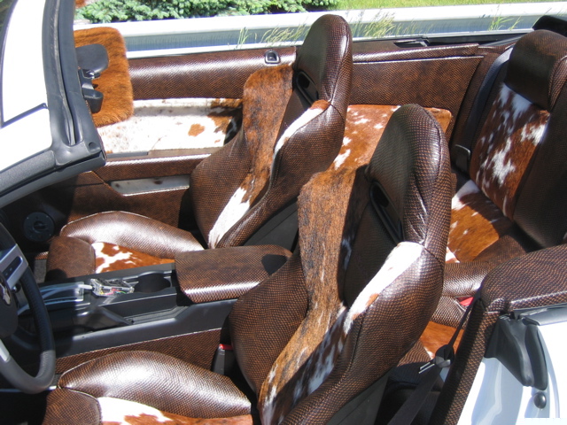 stang-int-5_001